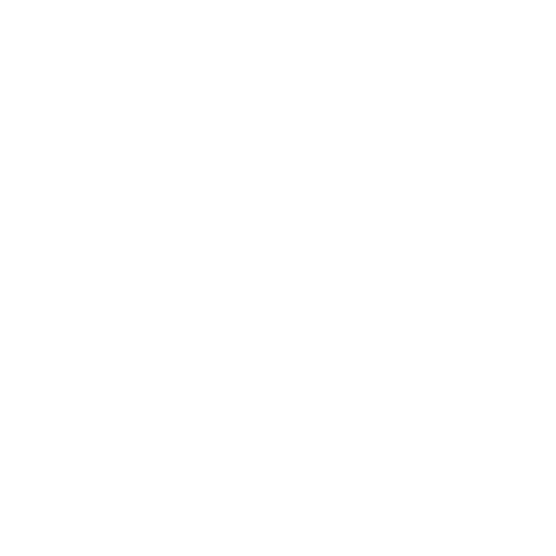 Visa Application